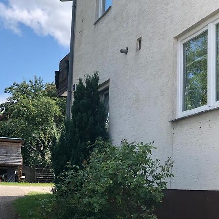 Gruener Baum Ferienwohnung Gampern Екстер'єр фото